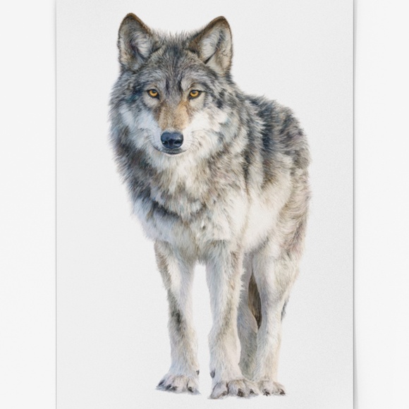 Watercolor Wolf with Mystical Aura Portrait Wall Art Print Poster, Unframed - Picture 2 of 6